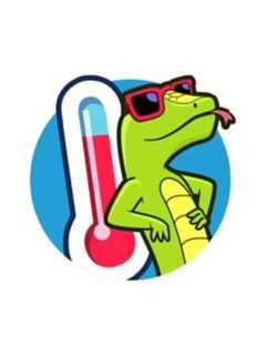 94 Degrees: fun trivia quiz