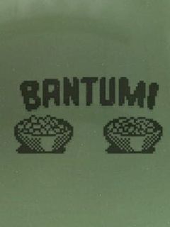 Bantumi