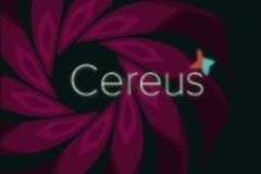 Cereus