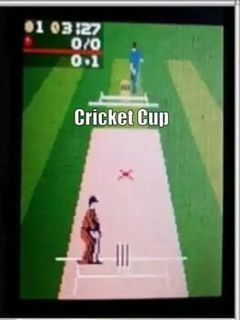 Cricket Cup