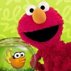 Elmo's World and You