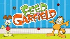 Feed Garfield