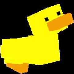 Feed Some Ducks cover image