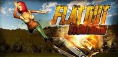 Flatout: Stuntman