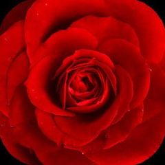 Floristry