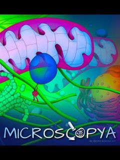 Microscopya