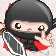 Paper Ninja cover image