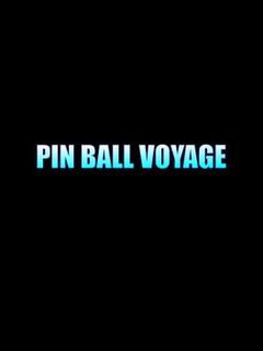 Pin Ball Voyage