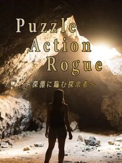 Puzzle Action Rogue