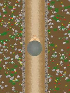 Sense: The Game