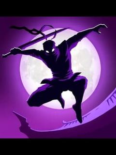 Shadow Knight: Ninja Fight cover image