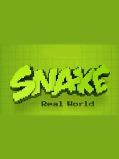 Snake Real World