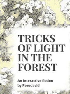 Tricks of Light in the Forest