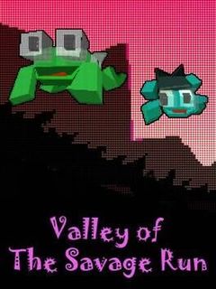 Valley of The Savage Run