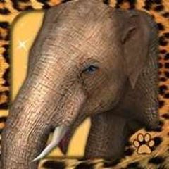 Virtual Pet Elephant