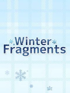 Winter Fragments