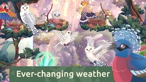 Bird Kind screenshot 4