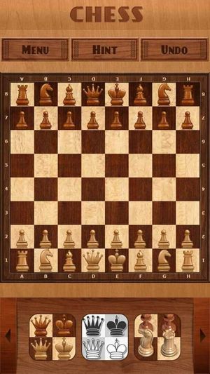 Chess screenshot 1