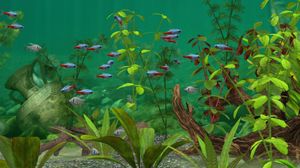 Fish Farm 3 screenshot 2