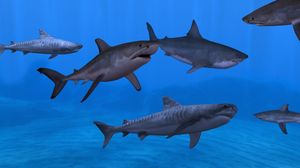 Fish Farm 3 screenshot 4