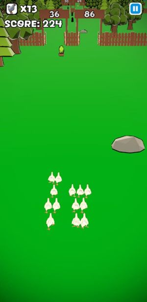 Flock Frenzy screenshot 2
