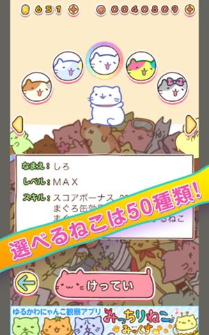 Micchiri Neko Dash! screenshot 1