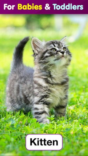 Toddler Flashcards HD: Baby Learning Games & Apps screenshot 2