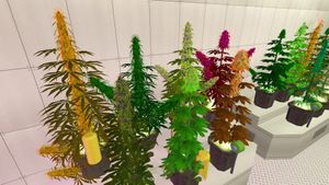 Weed Shop 2 screenshot 1