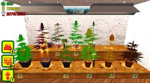 Weed Shop screenshot 4