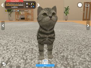 With My Buddy screenshot 3
